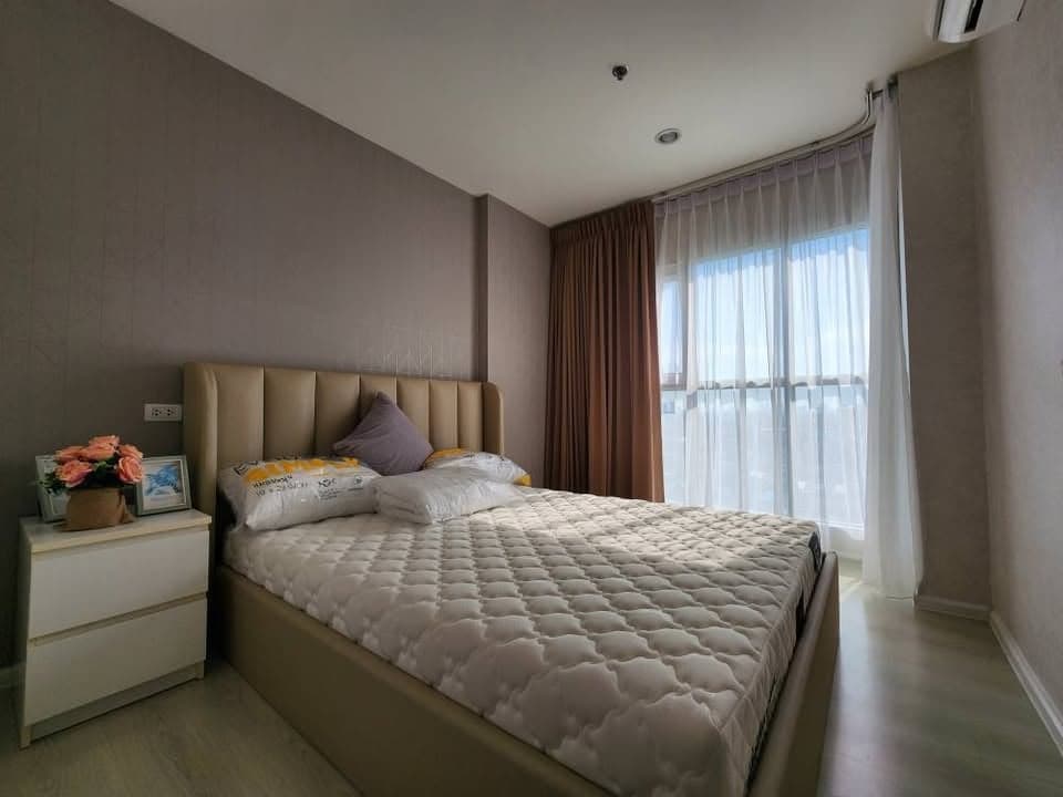 Aspire Sukhumvit 48 — Renovated Unit | High Floor East View | Near BTS