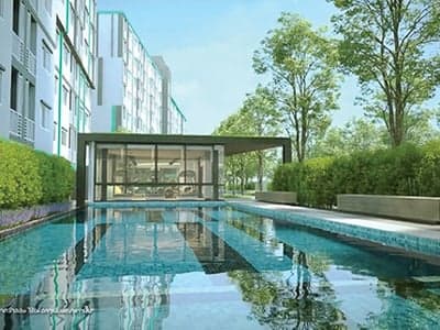 Niche id Serithai photo 2