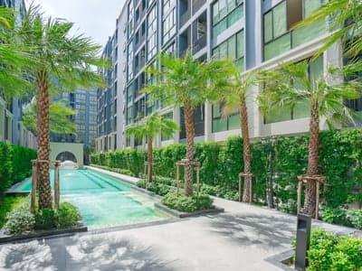 เซอรอคโค บางนา 36 photo 2