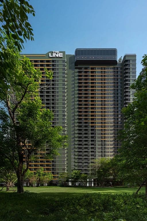 เดอะ ไลน์ ไวบ์